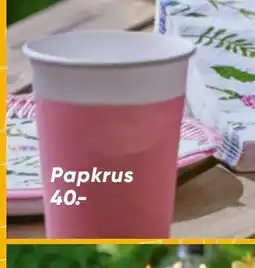 Bilka Papkrus, DKK 40 tilbud