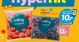 Bilka Salling bær, DKK 12, App-pris tilbud