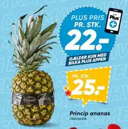Bilka Princip ananas, DKK 25, App-pris tilbud