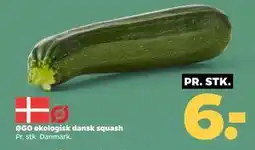 Netto ØGO økologisk dansk squash, DKK 6 tilbud