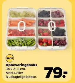 Netto Opbevaringsboks, DKK 79 tilbud