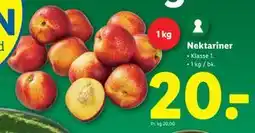Lidl Nektariner, DKK 20 tilbud