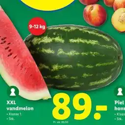 Lidl XXL vandmelon, DKK 89 tilbud