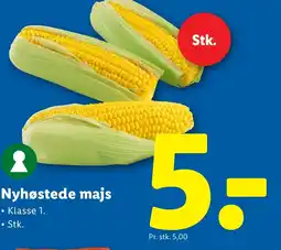 Lidl Nyhøstede majs tilbud