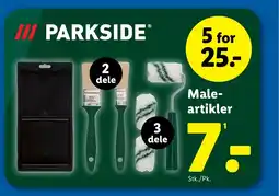 Lidl Male- artikler tilbud
