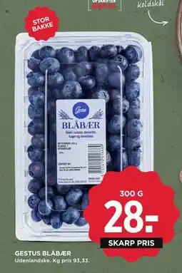 MENY GESTUS BLÅBÆR, DKK 28 tilbud