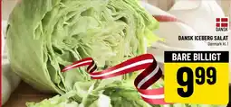 Løvbjerg DANSK ICEBERG SALAT tilbud