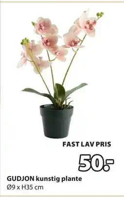 JYSK GUDJON kunstig plante, DKK 50 tilbud