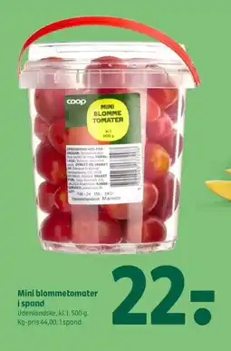 Coop 365 Mini blommetomater i spand tilbud