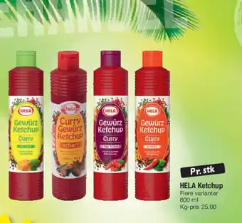 Fakta Tyskland HELA Ketchup Flere varianter tilbud