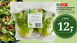 Dagli'Brugsen Änglamark økologisk dansk hjertesalat tilbud