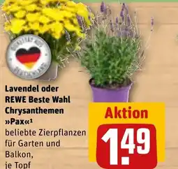REWE DE Lavendel oder REWE Beste Wahl Chrysanthemen tilbud