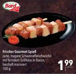 Citti Frischer gourmet-spieß tilbud