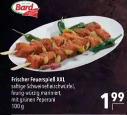 Citti Frischer feuerspieß xxl tilbud