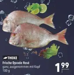 Citti Frische dorade rosé tilbud