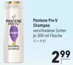 Citti PANTENE Pro-v shampoo tilbud