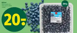 Coop 365 Blåbær tilbud