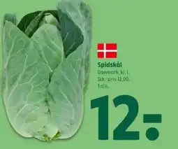 Coop 365 Spidskål tilbud
