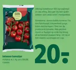 Coop 365 Intenso tomater tilbud