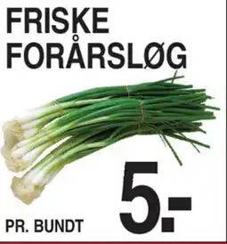 ABC Lavpris Friske forårsløg tilbud