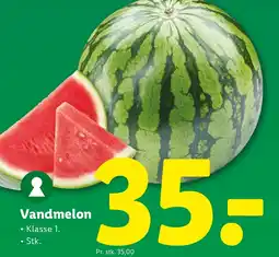 Lidl Vandmelon tilbud