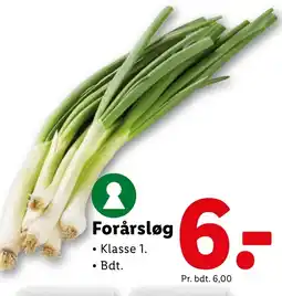 Lidl Forårsløg tilbud