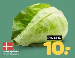 Netto Dansk spidskål Pr. stk. Danmark. tilbud