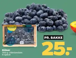 Netto Blåbær tilbud