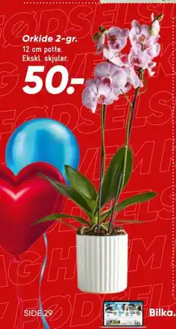 Bilka Orkide 2-gr, DKK 50 tilbud