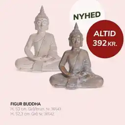 Daells Bolighus FIGUR BUDDHA, DKK 392 tilbud
