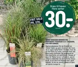 REMA 1000 Græs til haven Flere sorter, DKK 30 tilbud