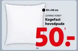 Lidl Kogefast hovedpude, DKK 50 tilbud