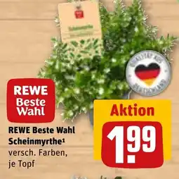REWE DE Rewe beste wahl scheinmyrthe tilbud