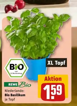 REWE DE Bio basilikum tilbud