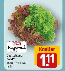REWE DE Salat tilbud