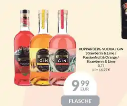 Nielsen's Discount KOPPARBERG VODKA/GIN Strawberry & Lime / Passionfruit & Orange/ Strawberry & Lime tilbud