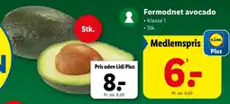 Lidl Formodnet avocado tilbud