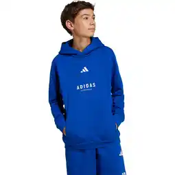 Sport 24 adidas All SZN Graphic Hættetrøje Børn tilbud