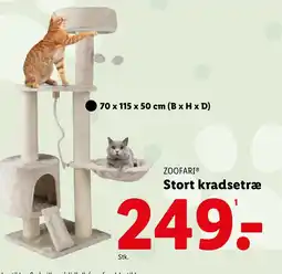 Lidl ZOOFARI® Stort kradsetræ tilbud