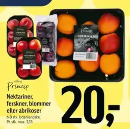 Føtex Nektariner, ferskner, blommer eller abrikoser, DKK 20 tilbud