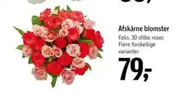 Føtex Afskårne blomster, DKK 79 tilbud
