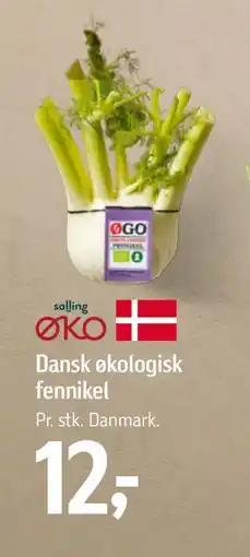 Føtex Dansk økologisk fennikel, DKK 12 tilbud