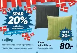 Bilka SPAR. 20% på Salling pyntepuder, DKK 80 tilbud