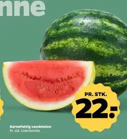 Netto Kernefattig vandmelon, DKK 22 tilbud
