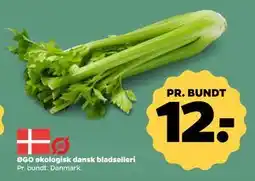 Netto ØGO økologisk dansk bladselleri, DKK 12 tilbud