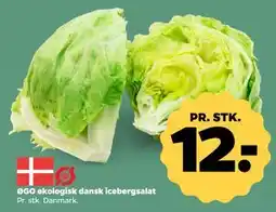 Netto ØGO økologisk dansk icebergsalat, DKK 12 tilbud