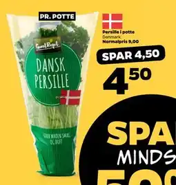Netto Persille i potte, DKK 4.5 tilbud