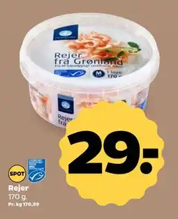 Netto Rejer, DKK 29 tilbud