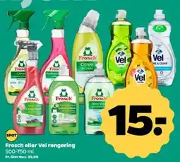 Netto Frosch eller Vel rengøring, DKK 15 tilbud
