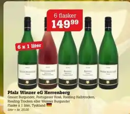 Poetzsch Padborg Pfalz Winzer eG Herrenberg, DKK 149.99 tilbud